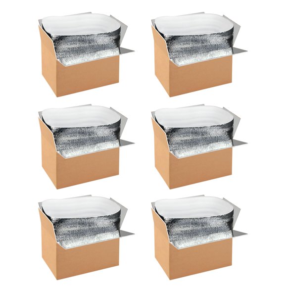 Cajas de envío aislantes YSSOA, paquete de 6 con revestimiento de papel de aluminio