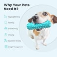 thumbnail image 2 of PENGXIANG Dog Chew Toys Puppy Teething Toys for Small Medium Dog Dental Care Toothbrush for Small Breeds Indestructible Dog Teeth Cleaning Toys, 2 of 7