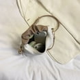 thumbnail image 2 of Bolso Bandolera Bolso cruzado informal para mujer, bolsos de hombro plisados ​​con nubes, bolsos de mano elegantes para chicas Tmvgtek Para Estrenar, 2 of 9