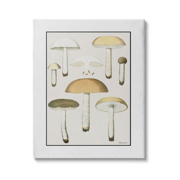 Various Mushrooms Forest Plant Botanical & Floral Graphic Art Gallery Wrapped Canvas Print Wall Art