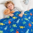 thumbnail image 5 of Sivio Weighted Blanket for Kids, Breathable Throw for Sleep, Suitable for Bed, Sofa, Couch and Travel, 3 lbs 36" x 48", Blue Dinosaur, 5 of 12