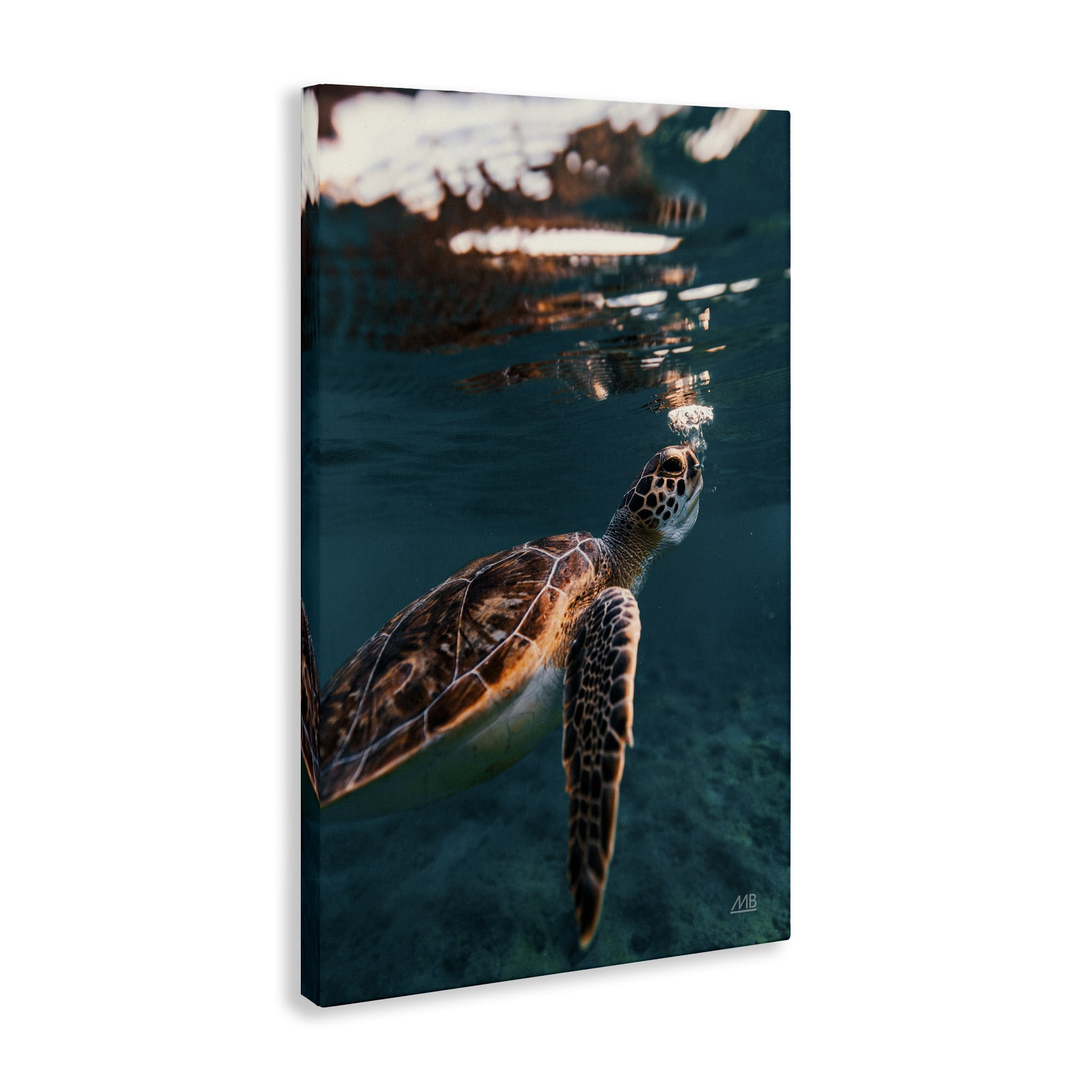Stupell Industries Blowing Bubbles Turtle Animals Photography Wrapped Canvas Art Print Wall Art, 24 x 36