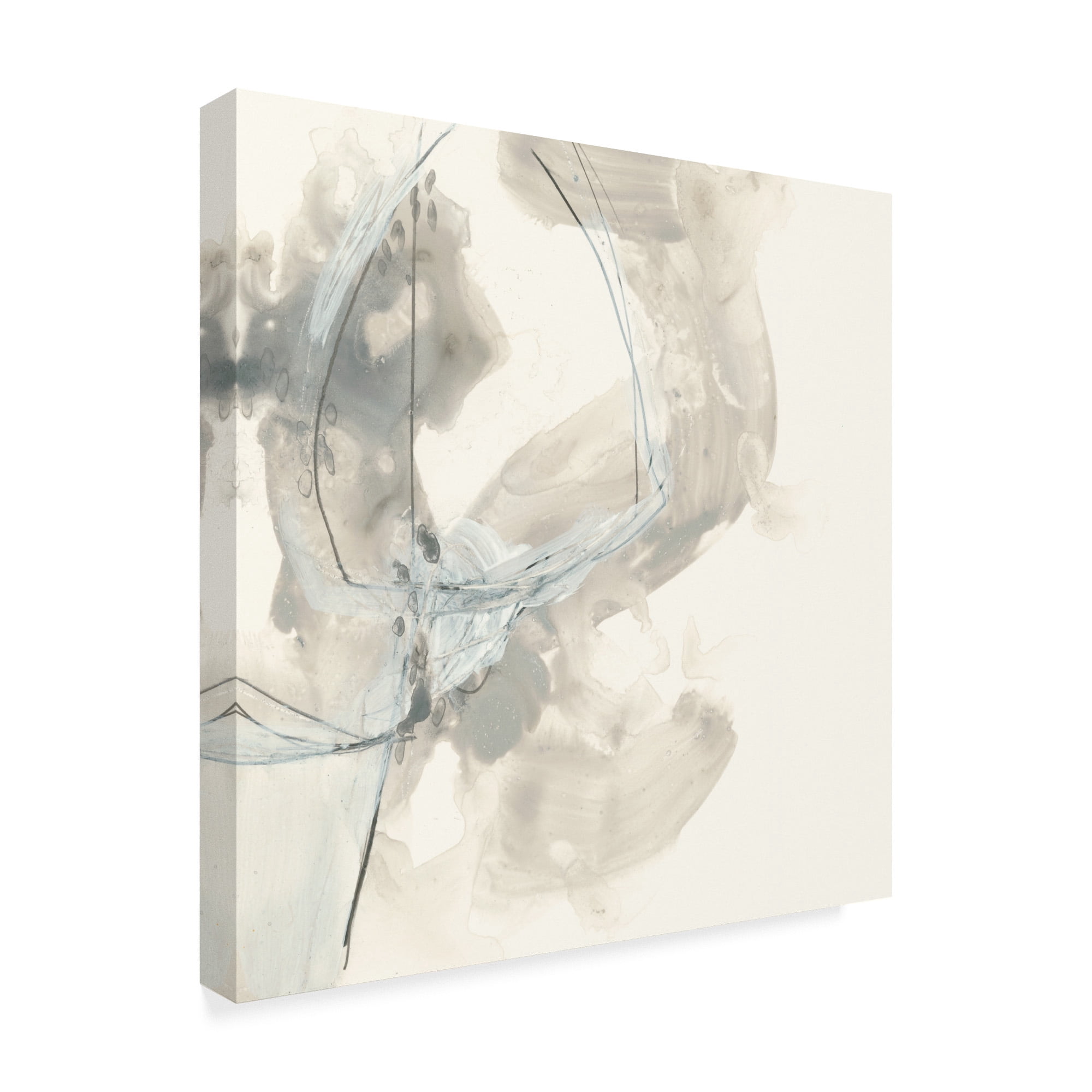 Trademark Fine Art 'Divination I' Canvas Art by June Erica Vess