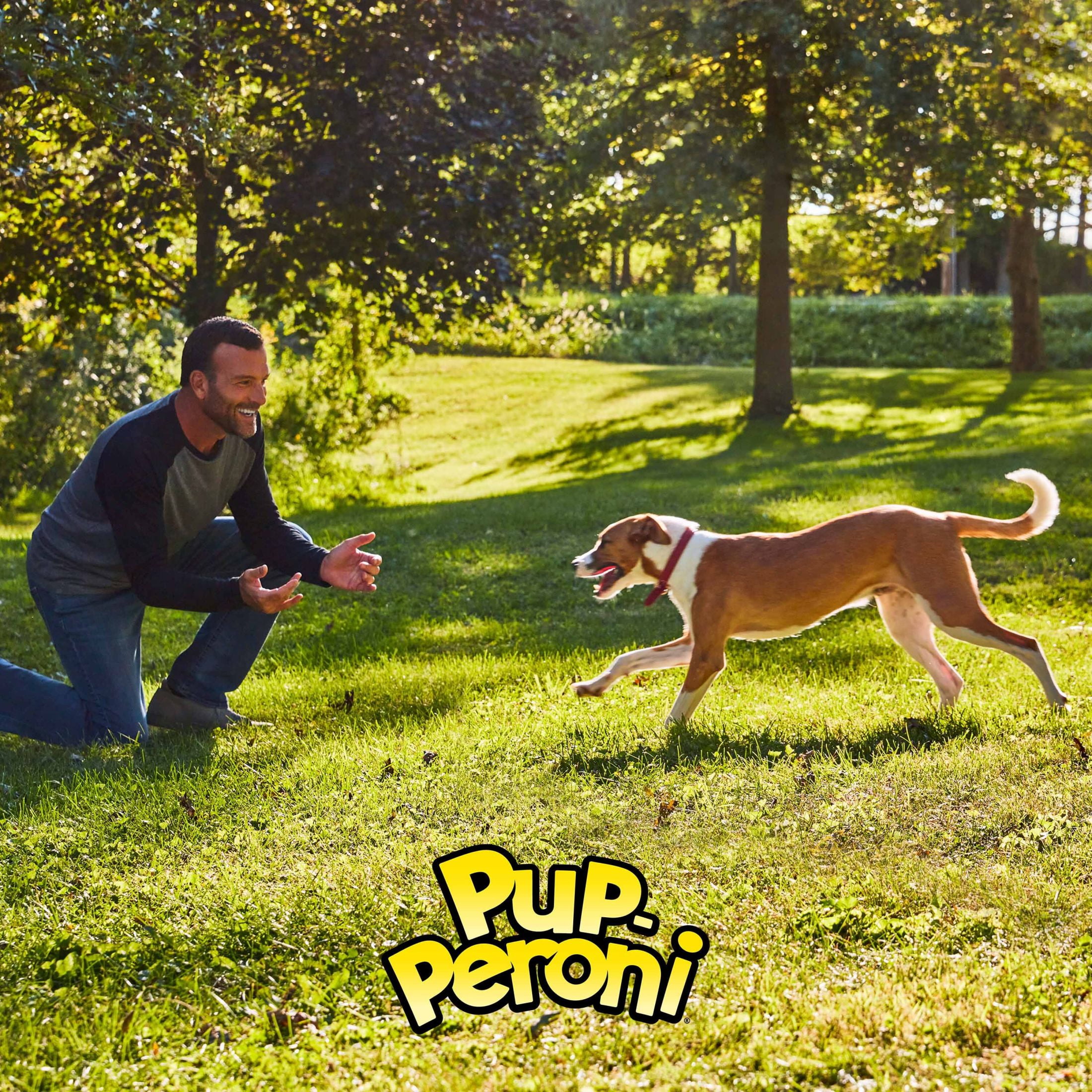 (4 pack) Pup Peroni Original Bacon Flavor Dog Treats, 22.5 Ounce Bag