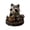A003- Style C, variant on Celestial Decor Beaded Hedgehog Table Decoration for Gold Bedroom Accent