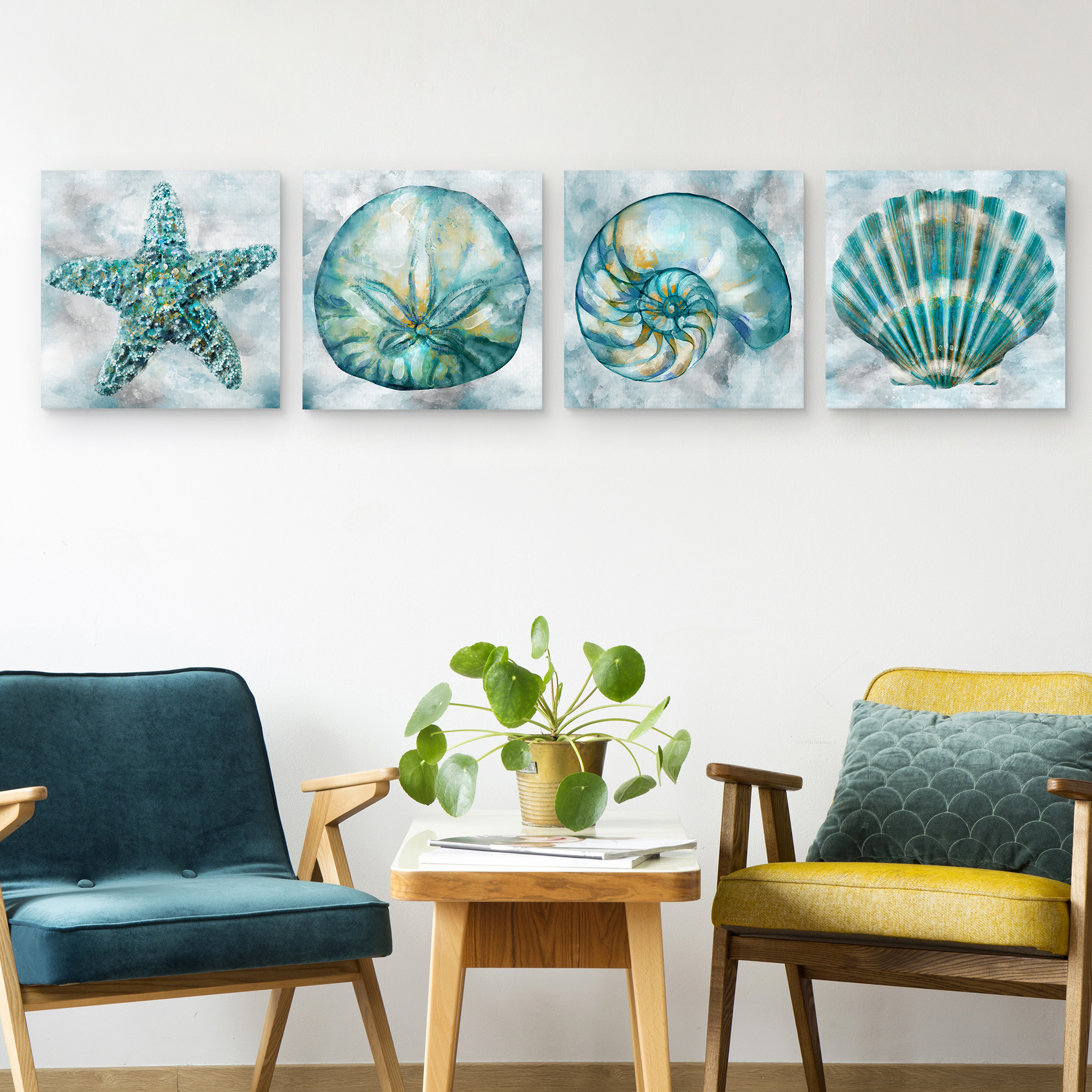 Elegant Shells I, II, III, IV by Studio Arts Set of 4 Canvas Prints