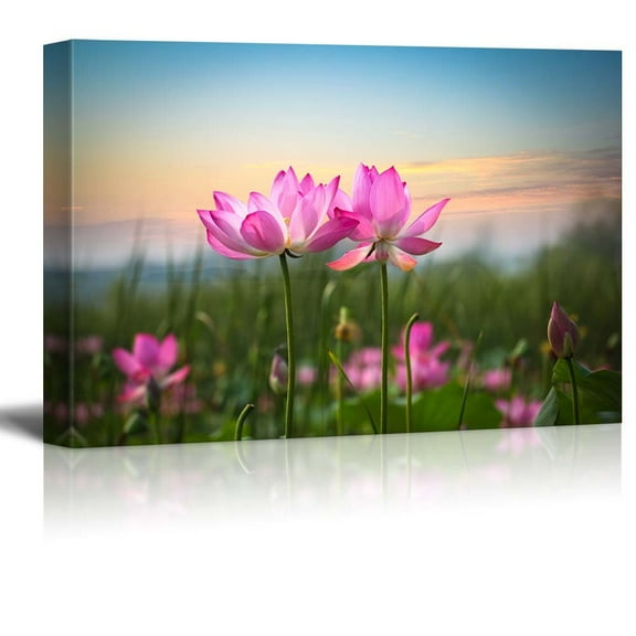 wall26 - Pink Lotus Flowers Looking Over The Sunset - Canvas Art Home Art - 24x36 inches