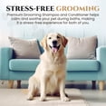 thumbnail image 4 of Natural Dog Shampoo & Conditioner for Itchy and Sensitive Skin (Oatmeal), 4 of 8