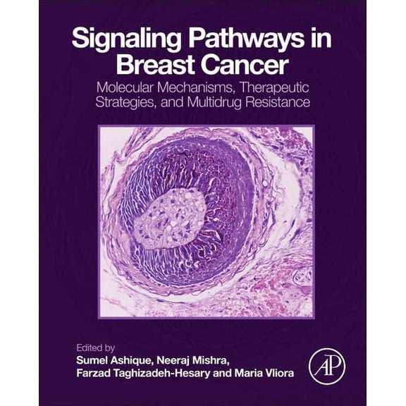 Signaling Pathways in Breast Cancer: Molecular Mechanisms, Therapeutic Strategies, and Multidrug Resistance, (Paperback)