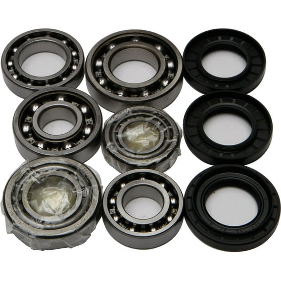 ALL BALLS DIFFERENTIAL BEARING KIT REAR 25-2074