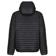thumbnail image 5 of Regatta - Chaqueta Acolchada Honestly Made de Reciclado para Hombre (Negro) Regatta UTPC4283_black, 5 of 5