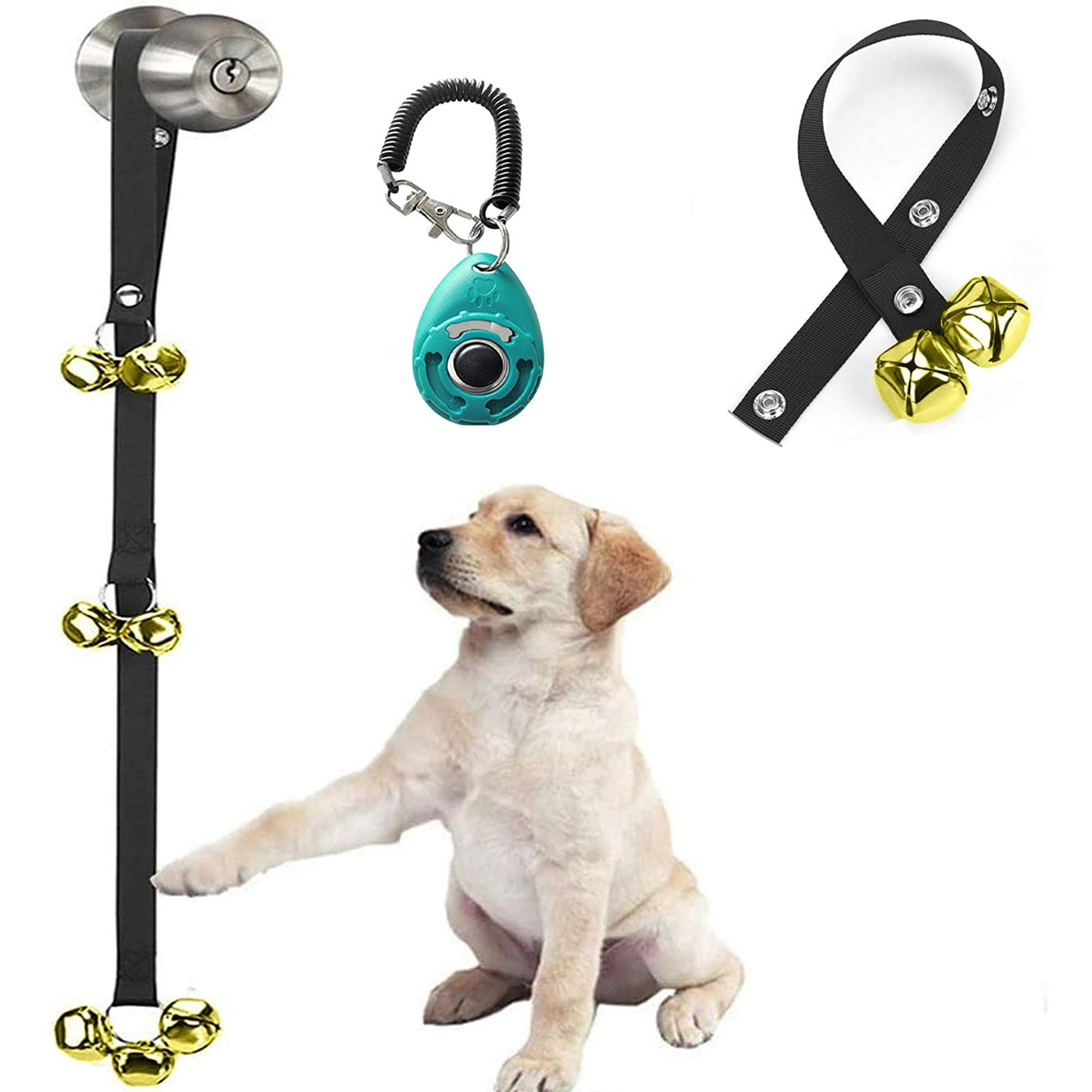 How Do You Potty Train A Puppy With A Clicker