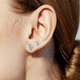 thumbnail image 5 of Aretes Zirconia Acero Inoxidable Hipoalergénico 6 Pares Plata Malubero Malu1730, 5 of 5