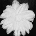 thumbnail image 2 of 10 Uds. 30-35cm plumas de avestruz grandes decoración artesanal para fiesta de boda, 2 of 5