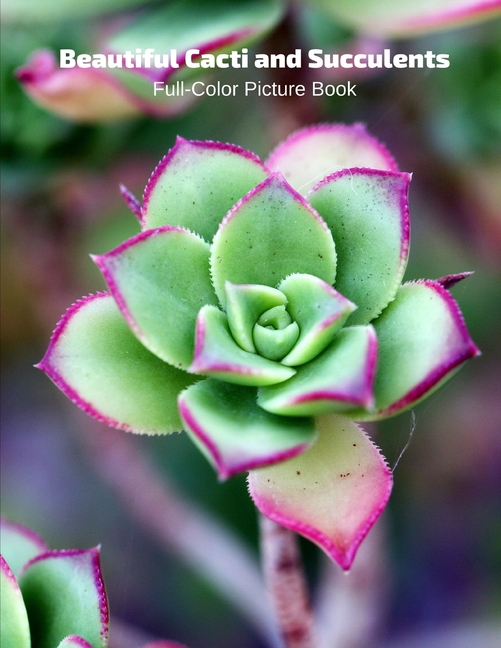 Beautiful Cacti and Succulents FullColor Picture Book Flower Picture
