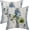 Blue Green Daisy, variant on Spring Pillow Covers 18x18 Pack of 2 Blue Green Hydrangea Floral Decorative Throw Pillow Covers Outdoor Summer Seasonal Flower Decor Pillowcase Farmhouse Linen Cushion Case for Home Couch