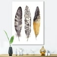 thumbnail image 2 of Designart ' Boho Ethnic Art Dark Gray Feathers III ' Bohemian & Eclectic Canvas Wall Art Print, 2 of 4