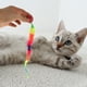 thumbnail image 5 of 5 uds bolas interactivas para gatos pelotas hinchables para gatos con gusano arcoíris juguetes de persecución para gatos, 5 of 5