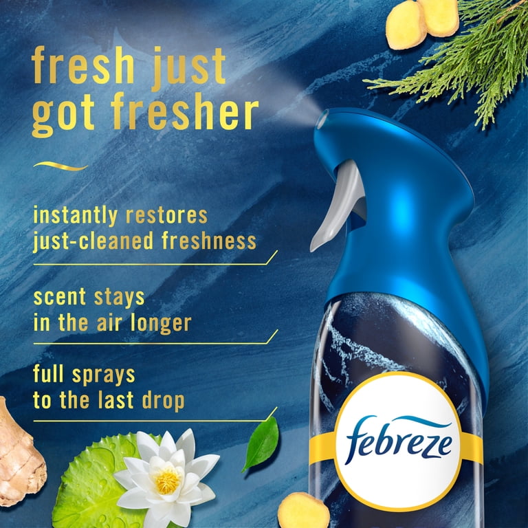Air Freshener Spray, Ocean Scent, 2 Pack photo 3