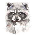 thumbnail image 2 of Pinto, Patricia 20x20 Gold Ornate Wood Framed with Double Matting Museum Art Print Titled - Baby Raccoon, 2 of 4