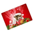 thumbnail image 4 of Abbracc Floor Carpet Entrance Mat | Absorbent, Non-Slip, Doormat for Kitchen Hotel J, 4 of 6