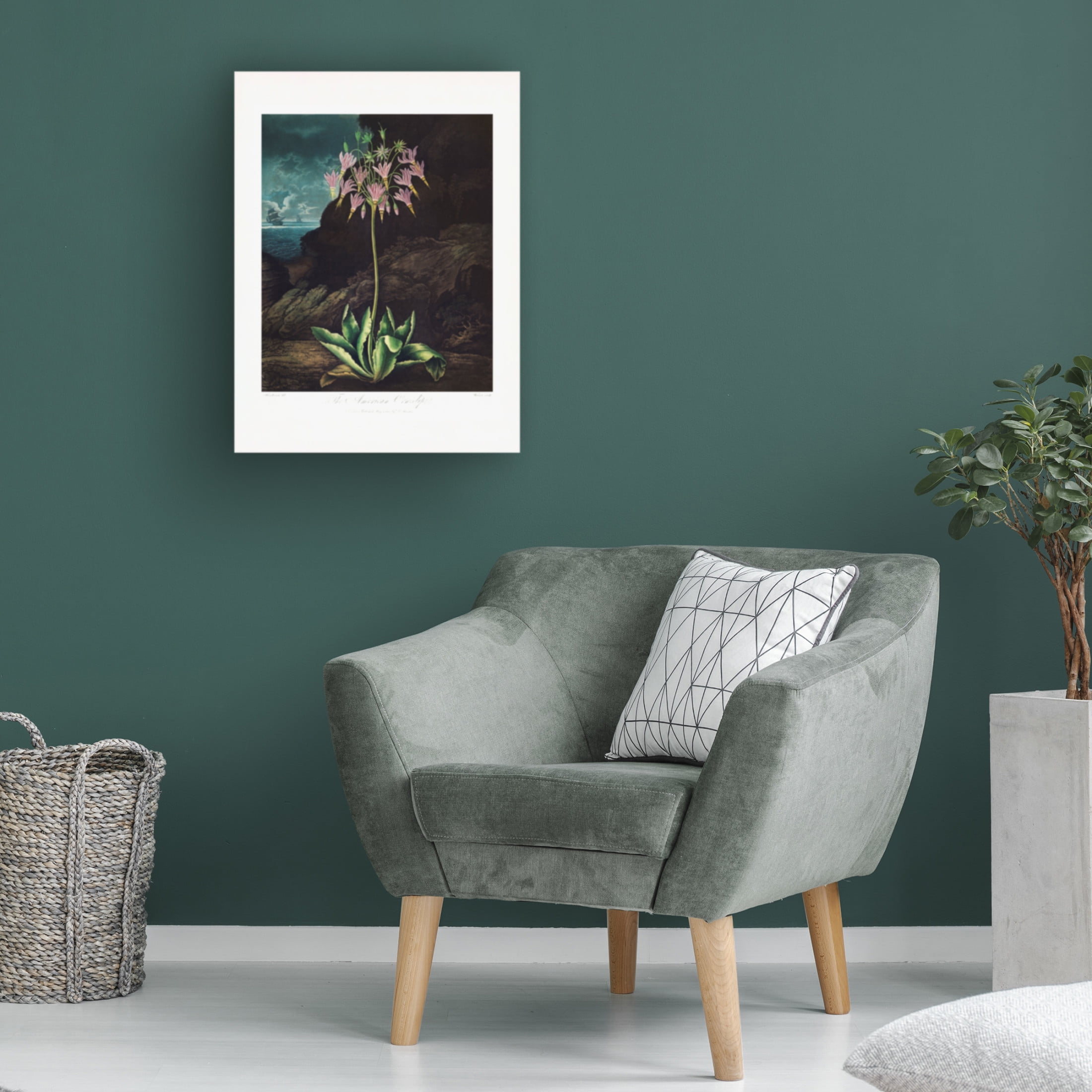 Trademark Fine Art Pictufy The American Cowslip from The Temple of Flora 1807 Canvas Wall Art