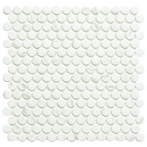 The Tile Life Eterna Penny Venato Glass Mosaic Floor & Wall Tile, 12 x 12 in, 1-Piece
