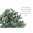 thumbnail image 4 of The Mod Greenhouse Artificial Green Olive Tree in a Black Matte Planter Pot 36, 4 of 5