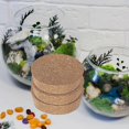 thumbnail image 4 of Hydroponic Vase Cork Lids for Plant Landscape Use 6Pcs Cork Plugs, 4 of 4