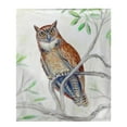 thumbnail image 1 of Betsy Drake BK714 Great Horned Owl Throw, 1 of 1