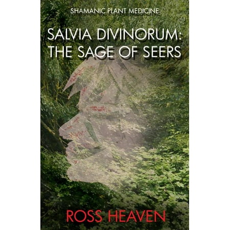 Salvia Scarlet Sage - Shamanic Plant Medicine - Salvia Divinorum : The Sage of the Seers