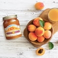 thumbnail image 3 of HealthSmart Sugar Free Apricot Preserves, 10 oz by Natures Hollow, 3 of 4
