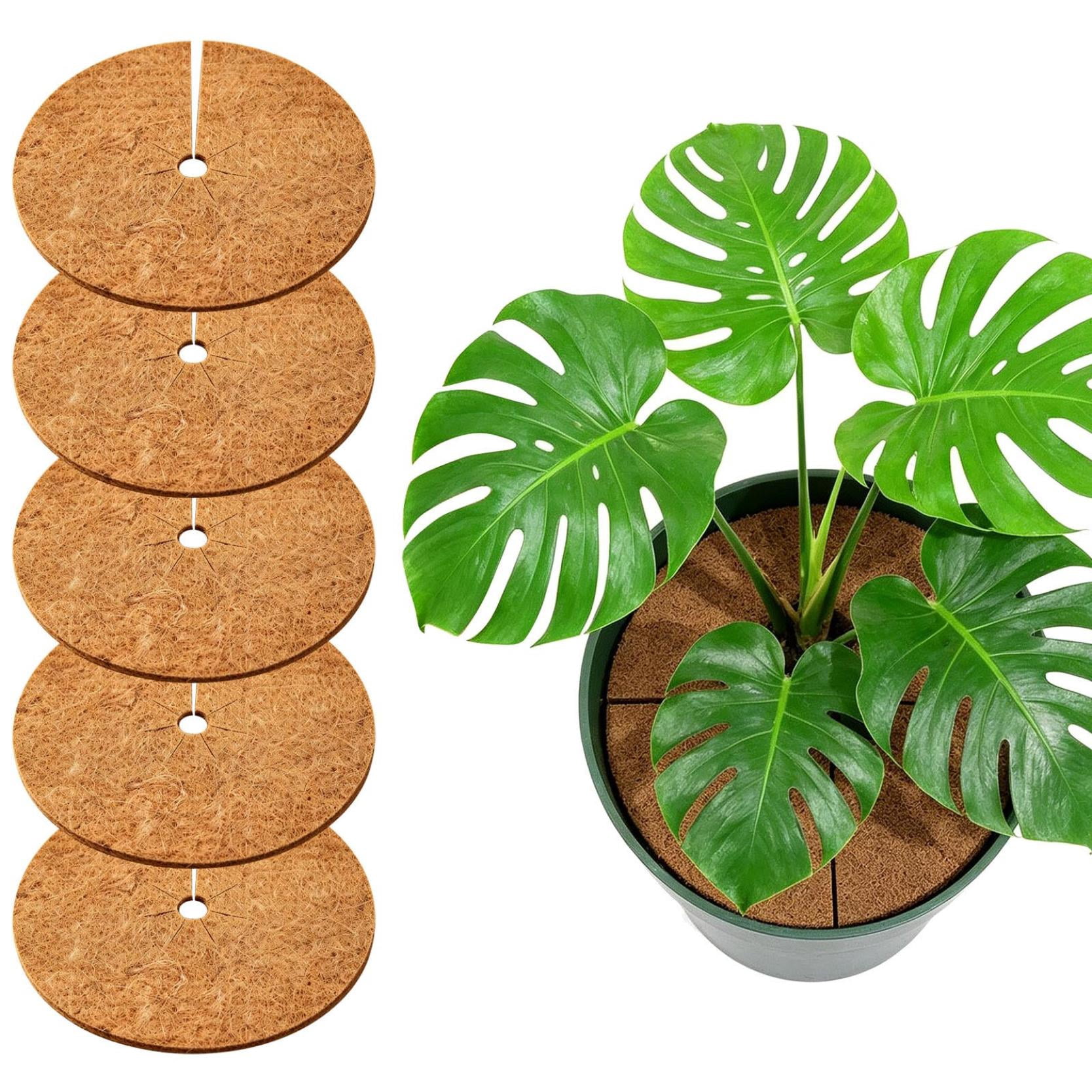 12 Pack Full-Scene Multi-Purpose Universal 11.8 Inch Coconut Coir Mulch Ring, All-Purpose Coco Coir Tree Protector Mat, Wide Use Cover Disc for Home Commercial Indoor Outdoor Garden Spaces