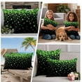 thumbnail image 5 of St. Patrick's Day Outdoor Waterproof Pillow Covers, Spring Lucky Shamrocks Leaves Black Decorative Square Throw Pillowcase Sofa Cushion Sham for Patio/Couch/Chair, 20"x20" 2 Pack, 5 of 8