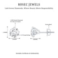 thumbnail image 4 of Rosec Jewels Certified Lab Grown Diamond Earrings - EF-VS Grade - Screw Back, 925 Sterling Silver, 4 of 6