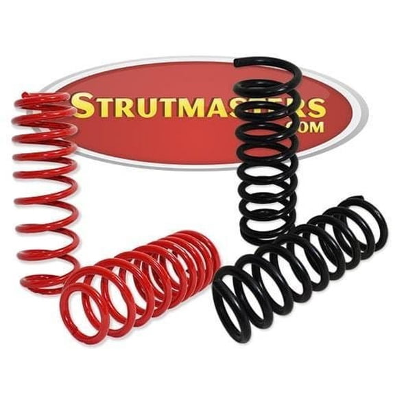 1990-1999 Lincoln Town Car Rear Air Suspension Conversion Kit With Front Replacement Springs (FA140)