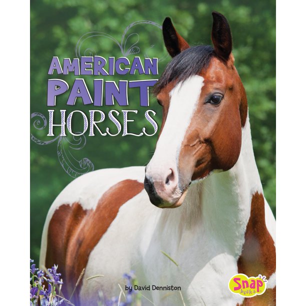 Horse Breeds American Paint Horses (Hardcover)