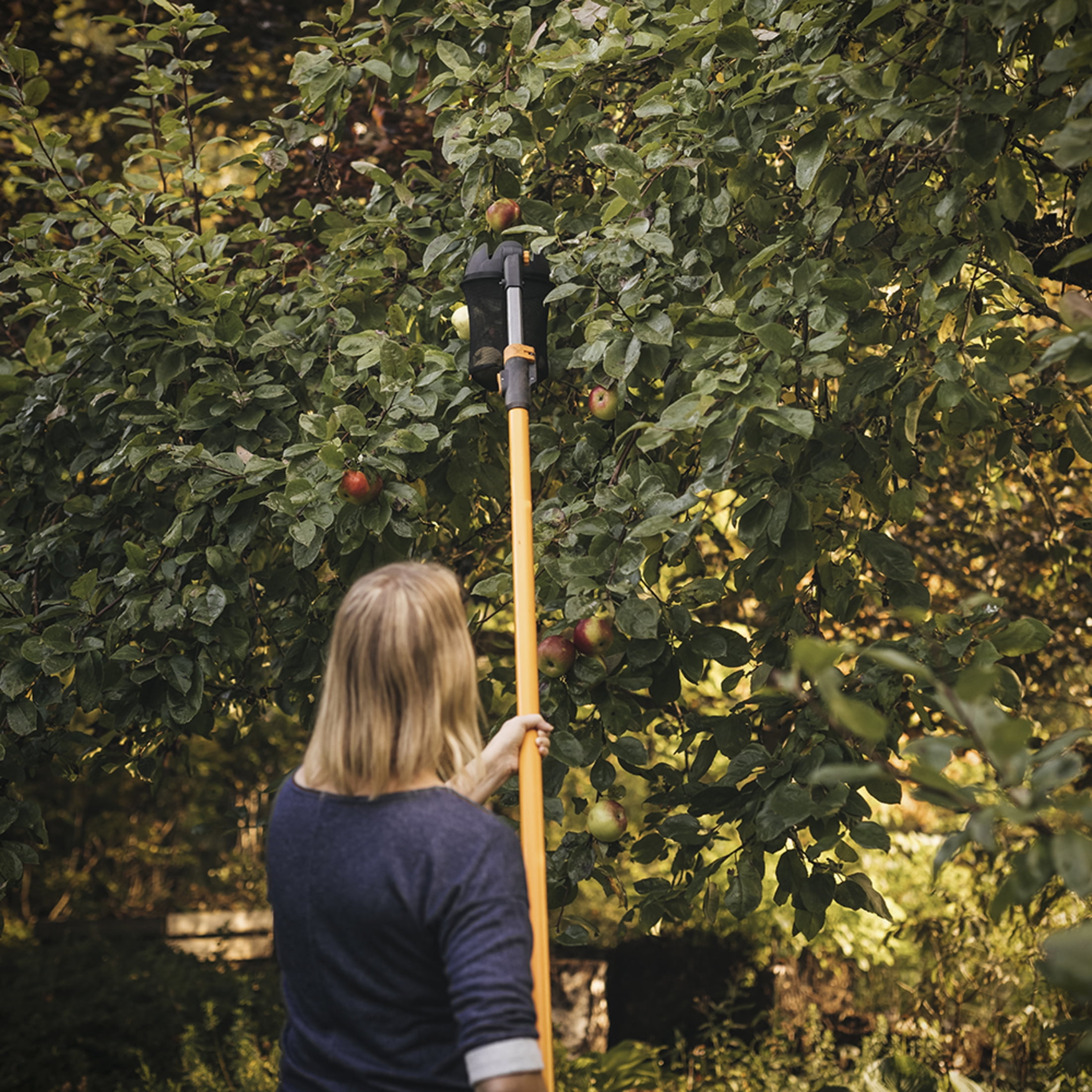 Fiskars Extendable Fruit Picker Tool, 1 Each, Orange and Black