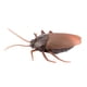 thumbnail image 3 of Juguete de cucaracha falsa con control remoto por infrarrojos, insectos, truco divertido y aterrador para niños, 3 of 15