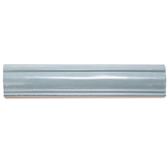 The Tile Life Waverly Ocean Polished Ceramic Chair Rail Tile, 3 x 12 in, 1-Piece
