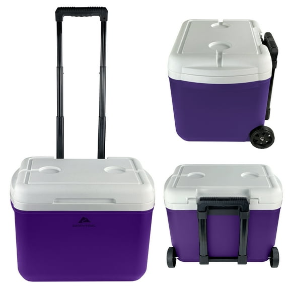 Tailgate Starter Pack Purple