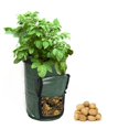 thumbnail image 4 of Maceta de cultivo de patatas DIY, contenedor de plantación de PE, bolsa de cultivo de verduras (35x50cm) Likrtyny Para estrenar, 4 of 5