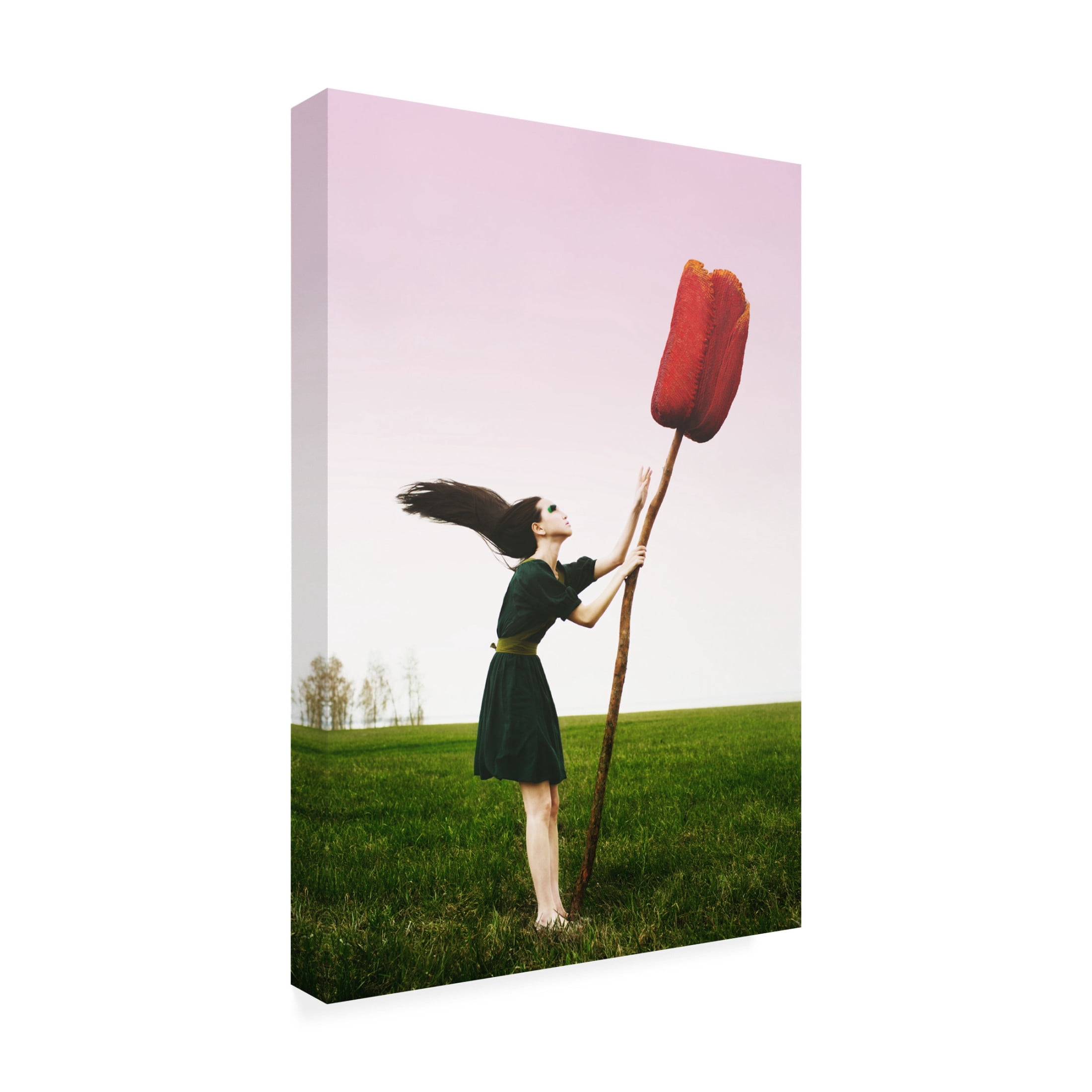 Canvas Wall Art - Mila Korolyova 'Open Sky' Wall Art for Living Room, Bedroom, or Office D?cor by Trademark Fine Art - 22 x 32 Inches