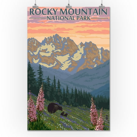 Rocky Mountain National Park, Colorado - Bear and Cubs with Flowers - Lantern Press Artwork (24x36 Giclee Gallery Print, Wall Decor Travel