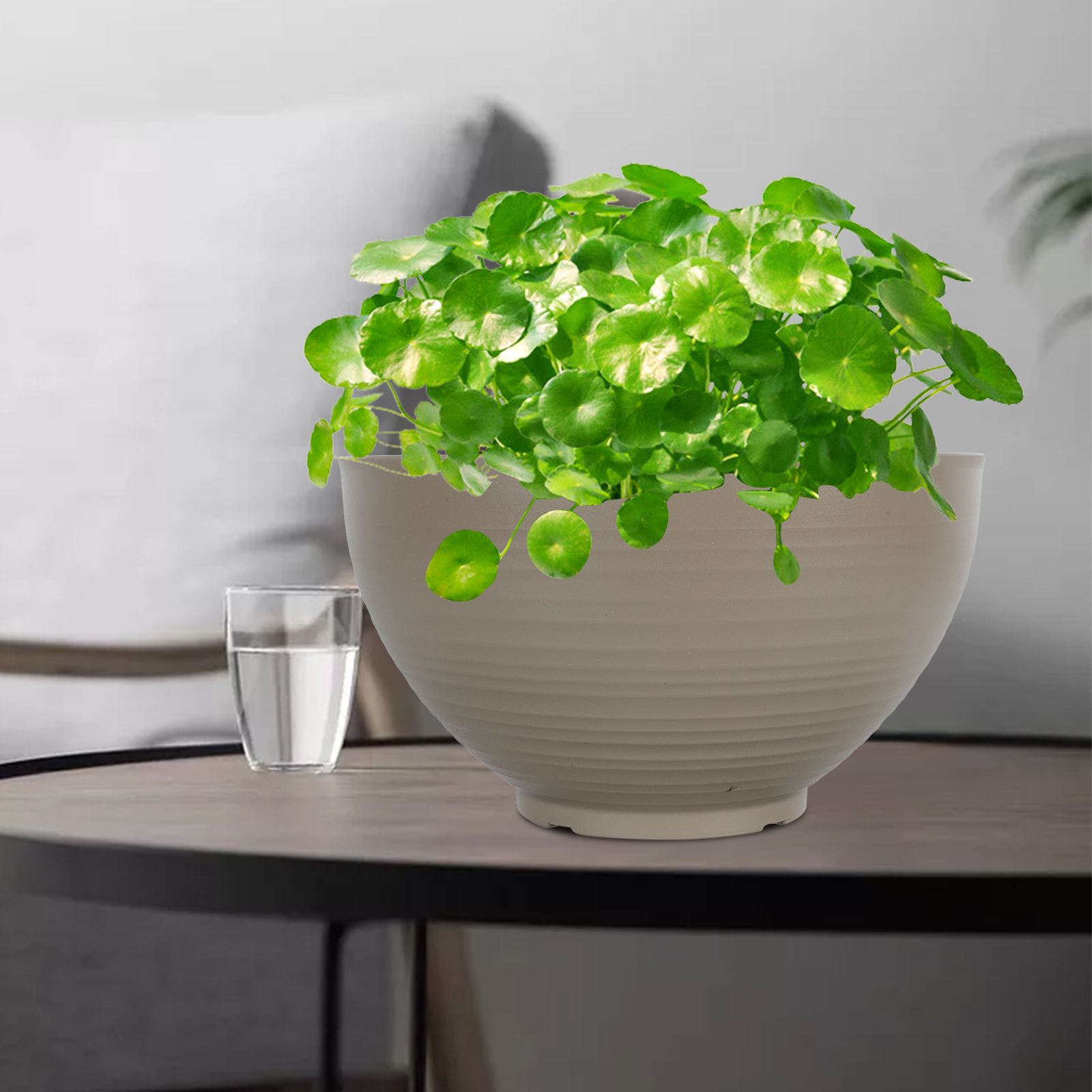 LOLIPPYY 1Pc Khaki Resin Planter Flower Pot with Fine Workmanship for Succulents and Decorative Use