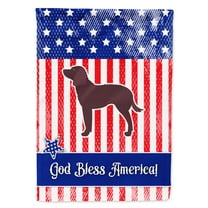 Carolines Treasures BB3301GF AUSA Patriotic merican Water Spaniel Flag Garden Size  Small multicolor