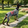 thumbnail image 3 of Pet Funny Cool Print Four-Legged Shirt Breathable Soft Puppy Jumpsuit Bodysuit For Small Dogs All Seasons, 3 of 9