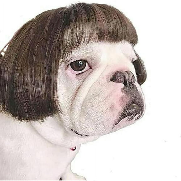 Zhuge Christmas Pet Wig for Cats & Dogs – Festive Synthetic Headwear for Holiday Parties & Photo Props