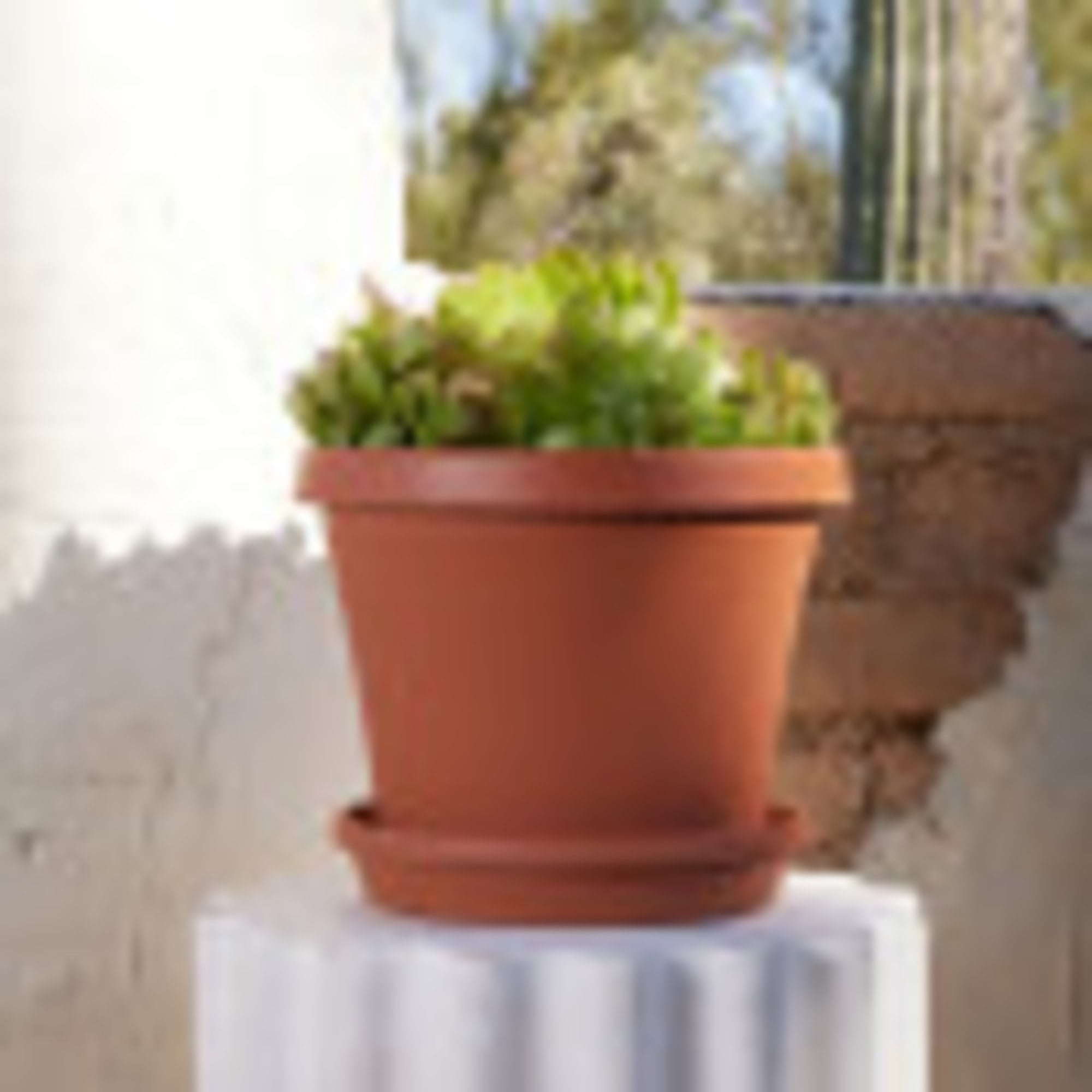 Bloem 14-in Terra Round Resin Planter - Terra Cotta Color (Saucer Not Included)
