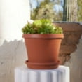 thumbnail image 3 of Bloem 14-in Terra Round Resin Planter - Terra Cotta Color (Saucer Not Included), 3 of 7